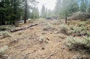 1169 Pine Ct, Portola, CA 96122 - Photo 1