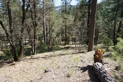 114 Quincy La Porte Road, Quincy, CA 95971 - Photo 13