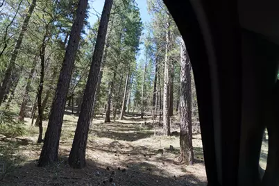 114 Quincy La Porte Road, Quincy, CA 95971 - Photo 5