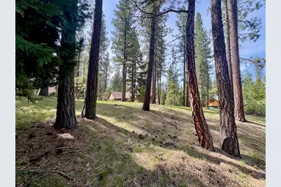 325 Eureka Springs Drive, Blairsden, CA 96103 - Photo 9