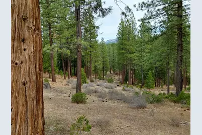 525 Red Sky #9, Portola, CA 96122 - Photo 9