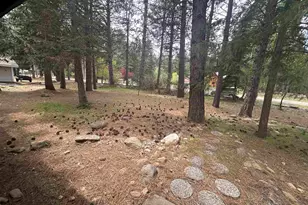 651 Pineleaf Dr, Meadow Valley, CA 95956 - Photo 31