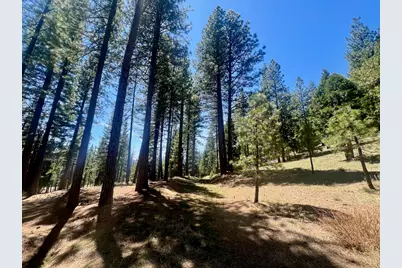 69867 Woodside Drive, Blairsden, CA 96103 - Photo 21