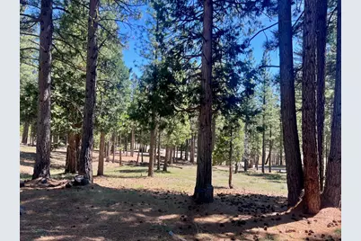 69867 Woodside Drive, Blairsden, CA 96103 - Photo 11