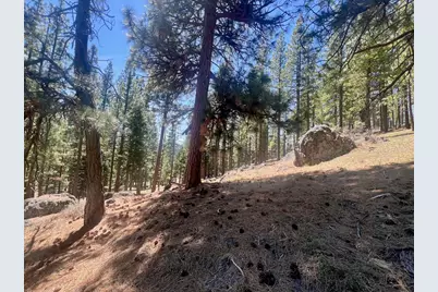 69867 Woodside Drive, Blairsden, CA 96103 - Photo 23