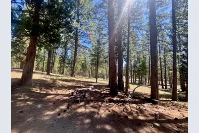 69867 Woodside Drive, Blairsden, CA 96103 - Photo 7