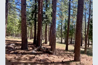 69867 Woodside Drive, Blairsden, CA 96103 - Photo 3