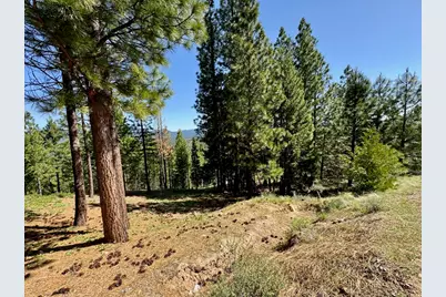 684 Startop, Portola, CA 96122 - Photo 1