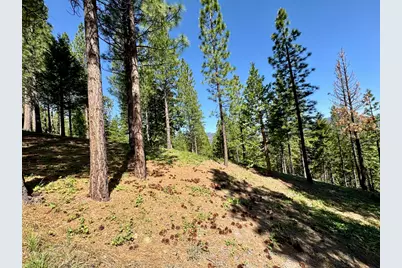 684 Startop, Portola, CA 96122 - Photo 9