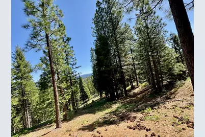 684 Startop, Portola, CA 96122 - Photo 17