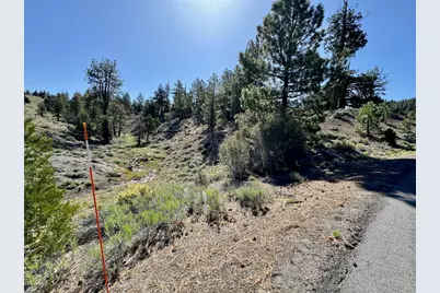 492 Clouds Rest, Portola, CA 96122 - Photo 1