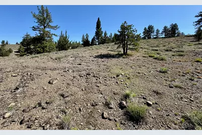 492 Clouds Rest, Portola, CA 96122 - Photo 21