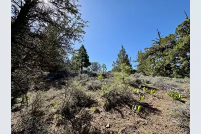 492 Clouds Rest, Portola, CA 96122 - Photo 15