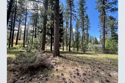 375 Eureka Springs Drive, Blairsden, CA 96103 - Photo 13