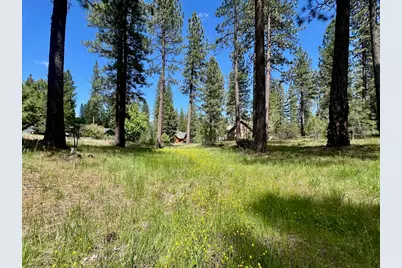 375 Eureka Springs Drive, Blairsden, CA 96103 - Photo 21