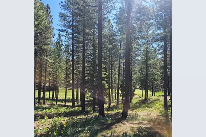 210 Red Hawk, Portola, CA 96122 - Photo 3