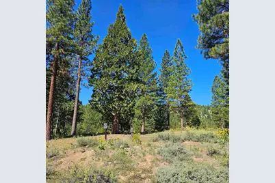 403 Big Grizzly, Portola, CA 96122 - Photo 1