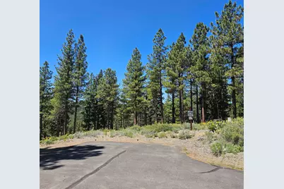 175 South Ridge Road, Portola, CA 96122 - Photo 1