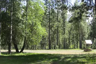 443 Feather River Dr, Chester, CA 96020 - Photo 7