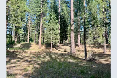 950 Miner's Passage, Clio, CA 96106 - Photo 27