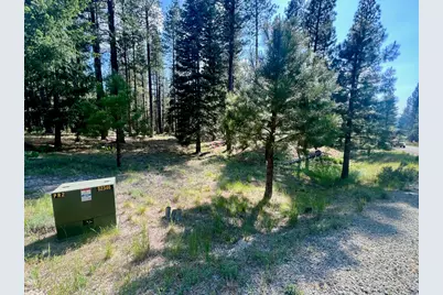 670 Redtail Loop, Clio, CA 96106 - Photo 11