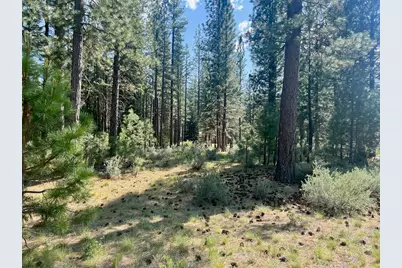 670 Redtail Loop, Clio, CA 96106 - Photo 3