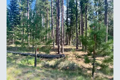 670 Redtail Loop, Clio, CA 96106 - Photo 13