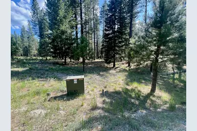 670 Redtail Loop, Clio, CA 96106 - Photo 9