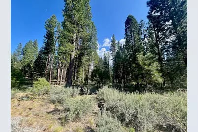 670 Redtail Loop, Clio, CA 96106 - Photo 5