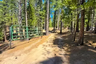 2467 Orchard Ridge Loop, Clio, CA 96106 - Photo 39