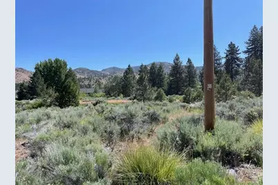 556 Longhorn Drive, Loyalton, CA 96118 - Photo 3