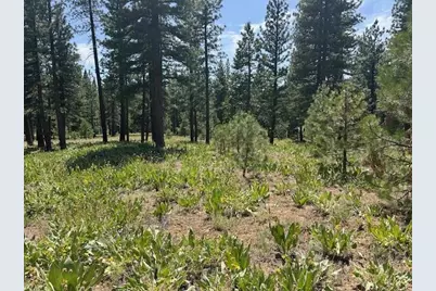 157 Arrowleaf Road, Portola, CA 96122 - Photo 5