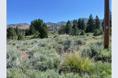 566 Longhorn Drive, Loyalton, CA 96118 - Photo 3