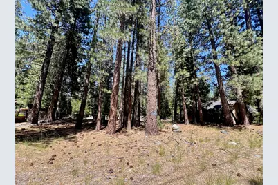 38 Tolowa Trail, Graeagle, CA 96103 - Photo 9