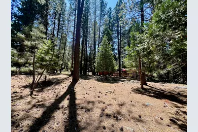 38 Tolowa Trail, Graeagle, CA 96103 - Photo 19