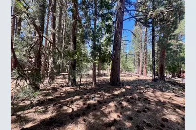 38 Tolowa Trail, Graeagle, CA 96103 - Photo 23