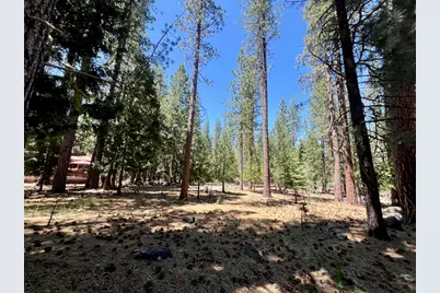 38 Tolowa Trail, Graeagle, CA 96103 - Photo 21