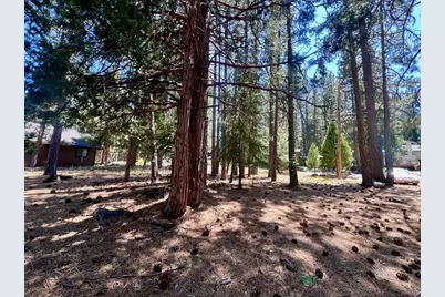 38 Tolowa Trail, Graeagle, CA 96103 - Photo 13