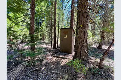 910 Mountain Drive, Johnsville, CA 96103 - Photo 25