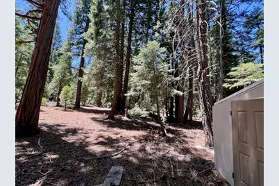 910 Mountain Drive, Johnsville, CA 96103 - Photo 17