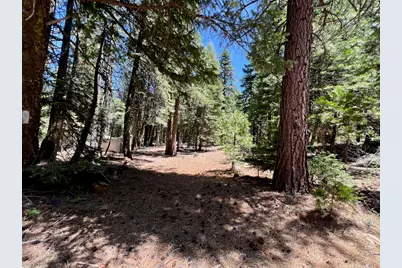 910 Mountain Drive, Johnsville, CA 96103 - Photo 11