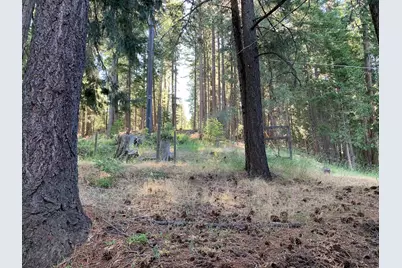 5372 Highway 147, Lake Almanor, CA 96137 - Photo 25