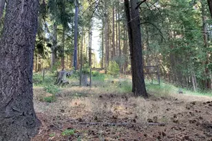 5372 Hwy 147, Lake Almanor, CA 96137 - Photo 25