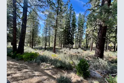 330 Sunburst, Portola, CA 96122 - Photo 15