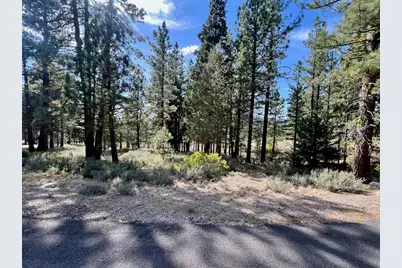 330 Sunburst, Portola, CA 96122 - Photo 5