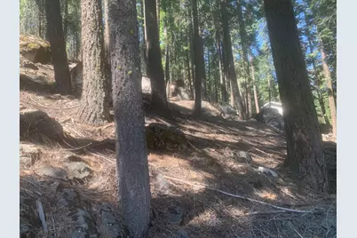 148 Slim Drive, Chester, CA 96020 - Photo 5