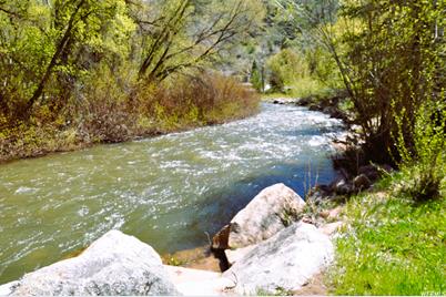 11265 E Highway 39, Huntsville, UT 84317 - Photo 1