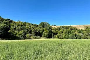 5025 S Hollow Rd, Nibley, UT 84321 - Photo 13