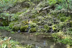 5025 S Hollow Rd, Nibley, UT 84321 - Photo 23