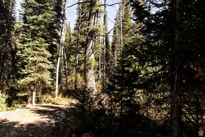 9407 E Wild Clematis Ln S, Salt Lake City, UT 84121 - Photo 41